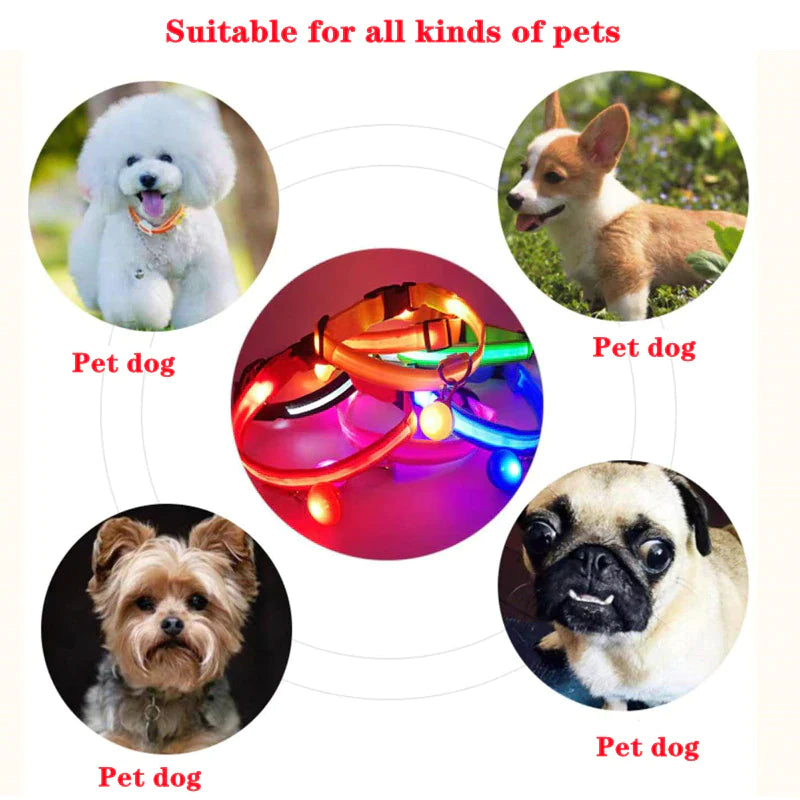 LED Adjustable Dog Collar Blinking Flashing Light up Glow Pets Safety Waterproof