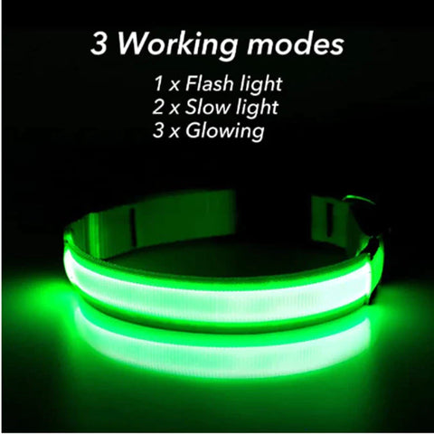 LED Adjustable Dog Collar Blinking Flashing Light up Glow Pets Safety Waterproof