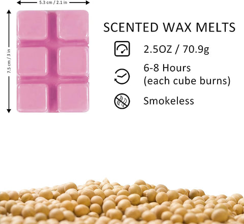 Wax Melts, Wax Cubes, Scented Wax Melts Gift Set, Assorted Wax Melts Wax Cubes for Wax Melts Warmer, Fragrance Wax Cubes for Christmas Gifts